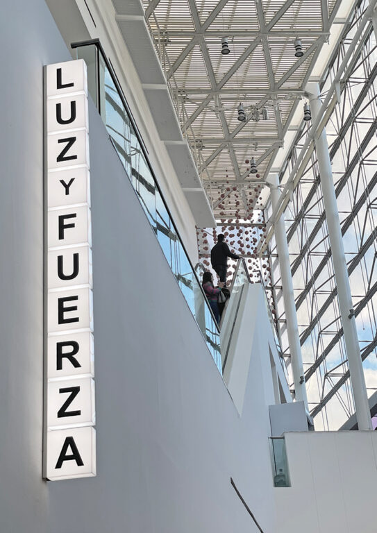 Luz y Fuerza
